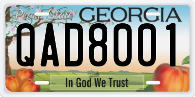 GA license plate QAD8001