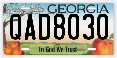 GA license plate QAD8030