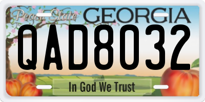 GA license plate QAD8032