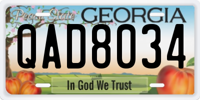 GA license plate QAD8034