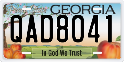 GA license plate QAD8041