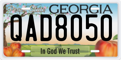 GA license plate QAD8050
