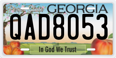 GA license plate QAD8053