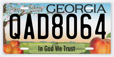 GA license plate QAD8064