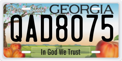 GA license plate QAD8075