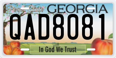 GA license plate QAD8081