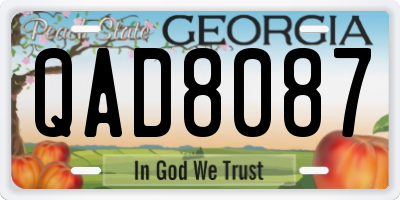 GA license plate QAD8087
