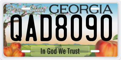 GA license plate QAD8090