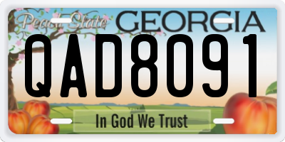 GA license plate QAD8091