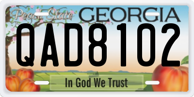 GA license plate QAD8102