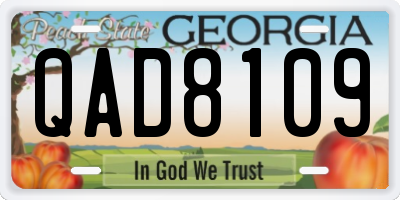 GA license plate QAD8109