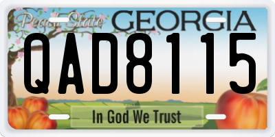 GA license plate QAD8115
