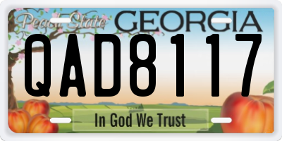 GA license plate QAD8117