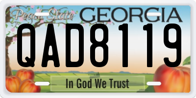 GA license plate QAD8119