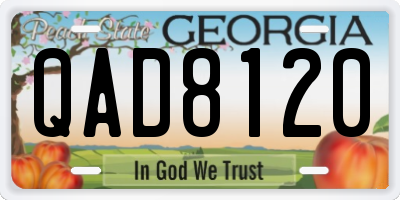GA license plate QAD8120