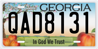 GA license plate QAD8131