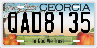 GA license plate QAD8135