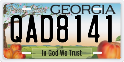 GA license plate QAD8141