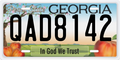 GA license plate QAD8142