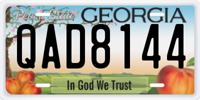 GA license plate QAD8144