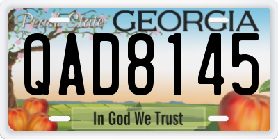 GA license plate QAD8145