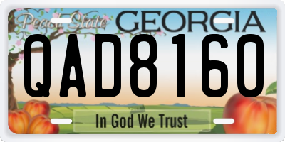 GA license plate QAD8160