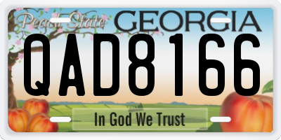 GA license plate QAD8166