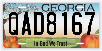 GA license plate QAD8167