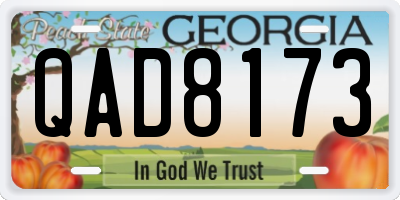 GA license plate QAD8173