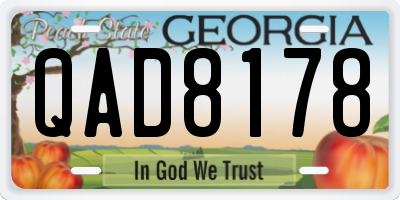 GA license plate QAD8178