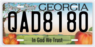 GA license plate QAD8180