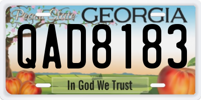 GA license plate QAD8183