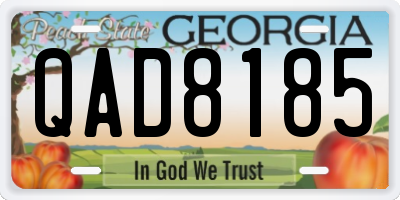 GA license plate QAD8185