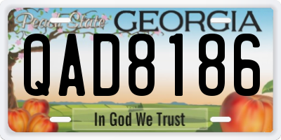 GA license plate QAD8186