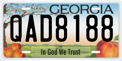 GA license plate QAD8188