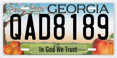GA license plate QAD8189