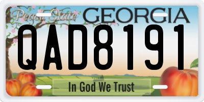 GA license plate QAD8191