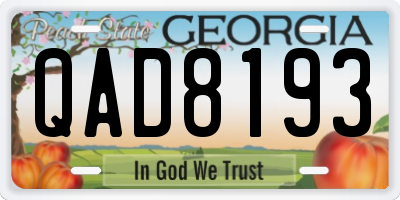 GA license plate QAD8193