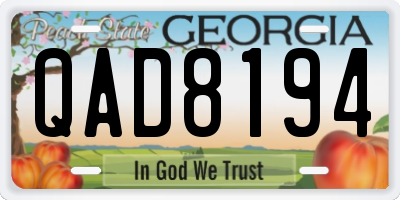GA license plate QAD8194