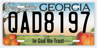 GA license plate QAD8197