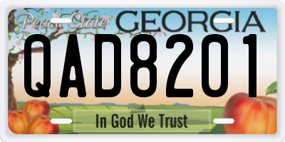 GA license plate QAD8201