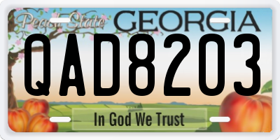 GA license plate QAD8203