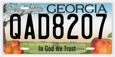 GA license plate QAD8207
