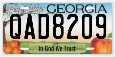 GA license plate QAD8209