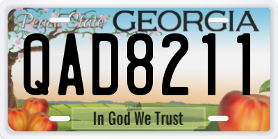 GA license plate QAD8211