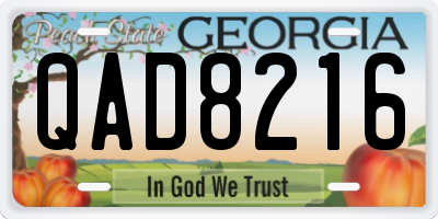 GA license plate QAD8216