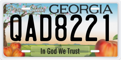GA license plate QAD8221