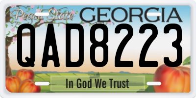 GA license plate QAD8223