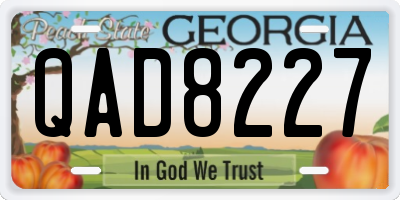 GA license plate QAD8227