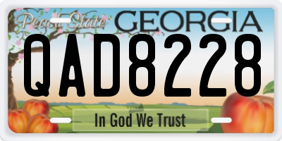 GA license plate QAD8228